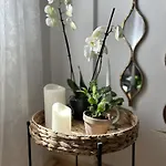 Apartment Homefeel2024