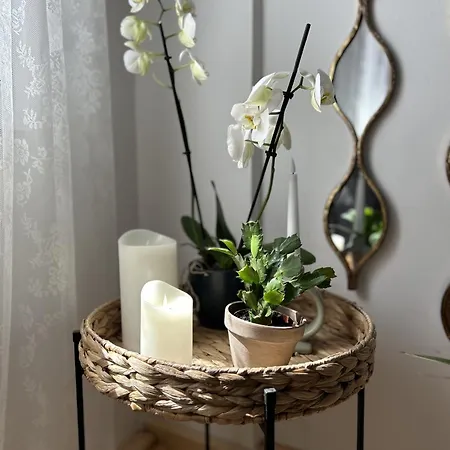 Apartament Homefeel2024