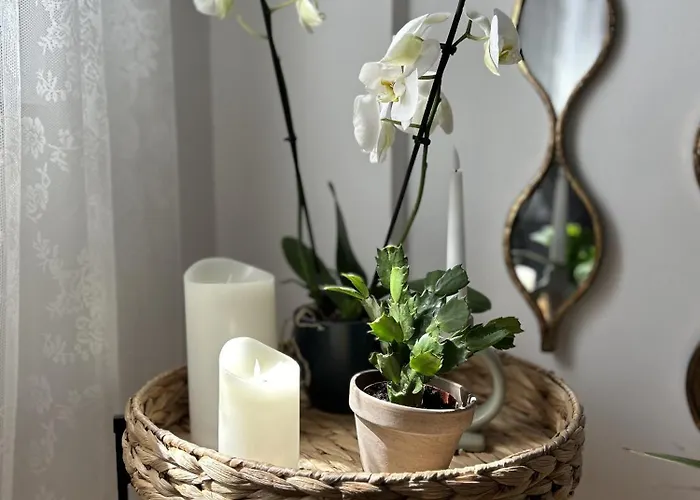 Apartament Homefeel2024