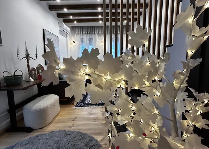 Homefeel2024 Apartament